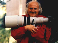 Daniele